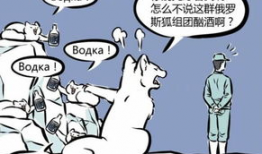 饲养员漫画,揭秘动物世界的温馨日常